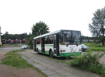 автобусы лен области (1)